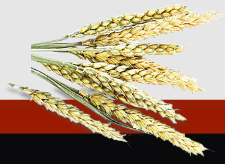 PG���ӡ�������(������Ϸ)�ٷ���վ