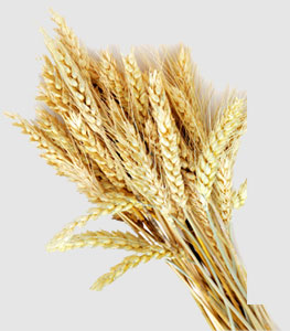 PG���ӡ�������(������Ϸ)�ٷ���վ