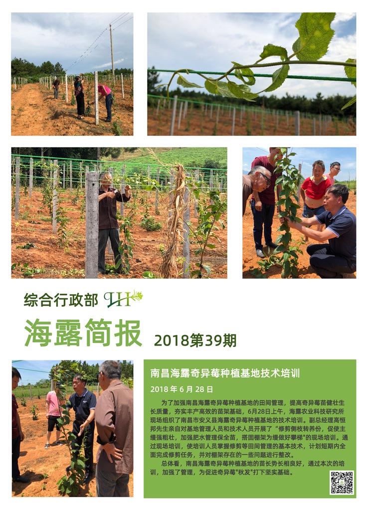 PG���ӡ�������(������Ϸ)�ٷ���վ