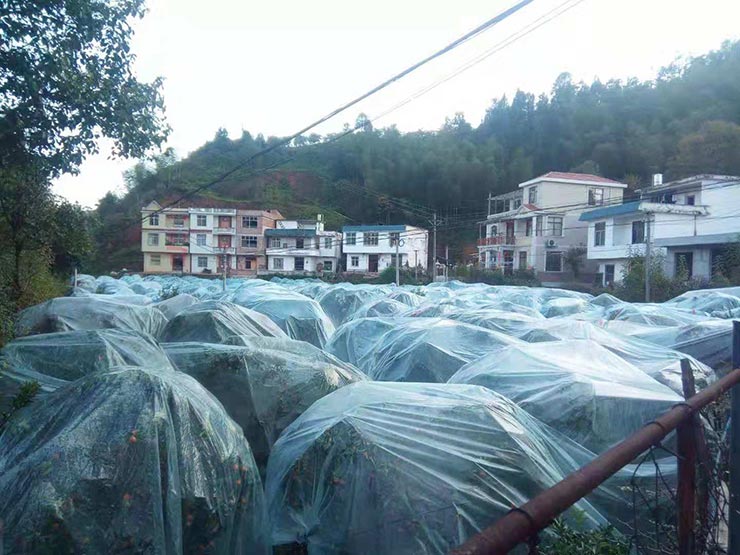 PG���ӡ�������(������Ϸ)�ٷ���վ