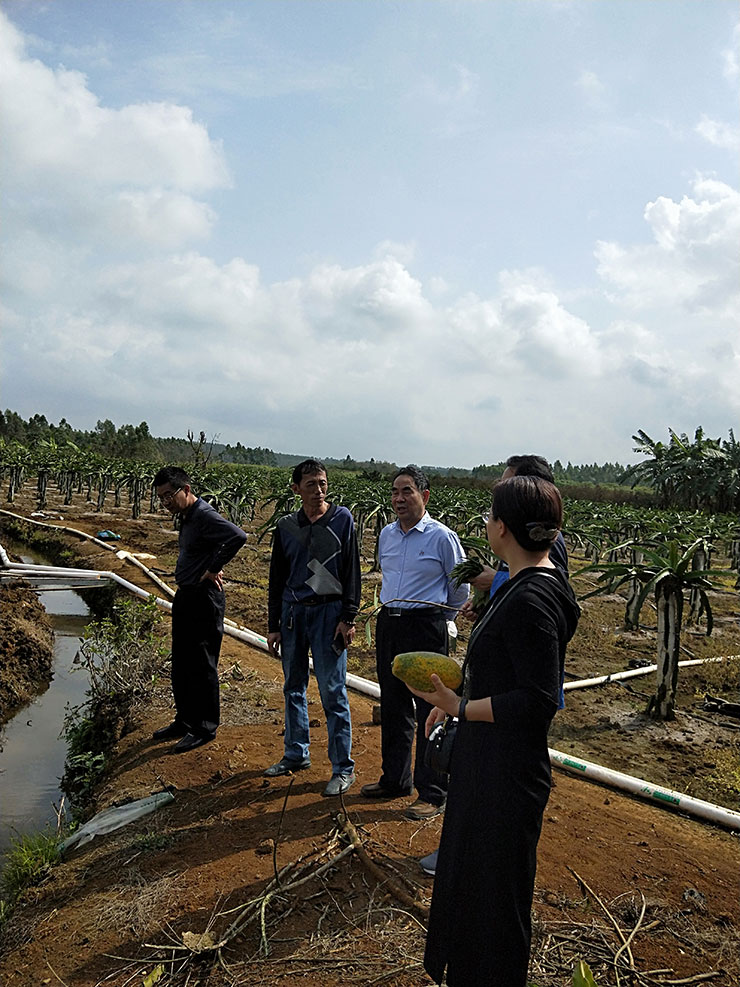 PG���ӡ�������(������Ϸ)�ٷ���վ