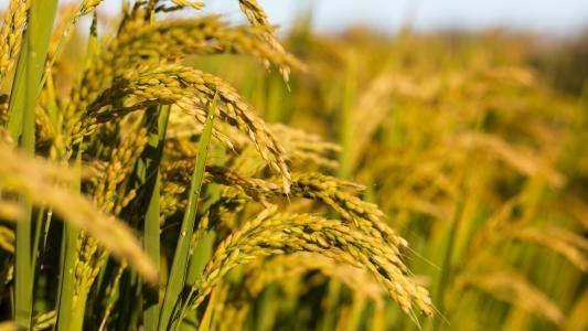 PG���ӡ�������(������Ϸ)�ٷ���վ