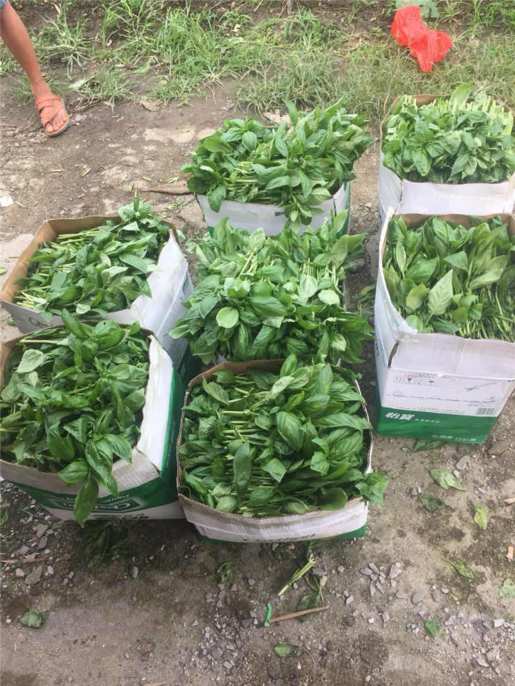 PG���ӡ�������(������Ϸ)�ٷ���վ