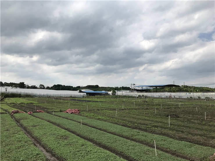 PG���ӡ�������(������Ϸ)�ٷ���վ