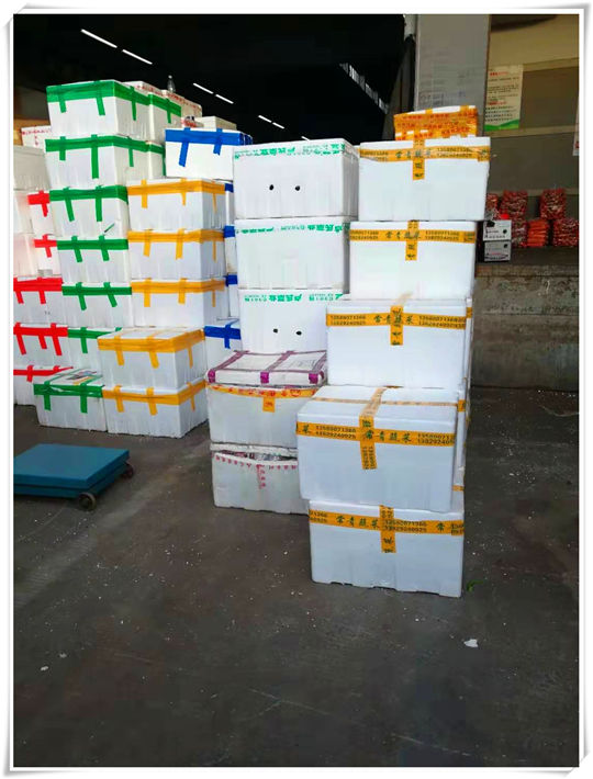 PG���ӡ�������(������Ϸ)�ٷ���վ