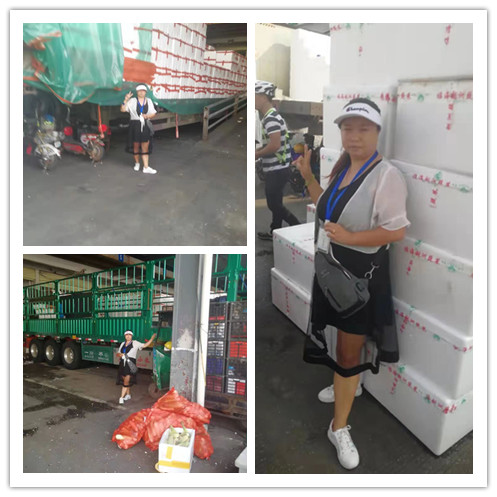 PG���ӡ�������(������Ϸ)�ٷ���վ