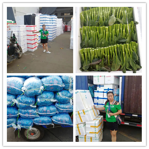 PG���ӡ�������(������Ϸ)�ٷ���վ