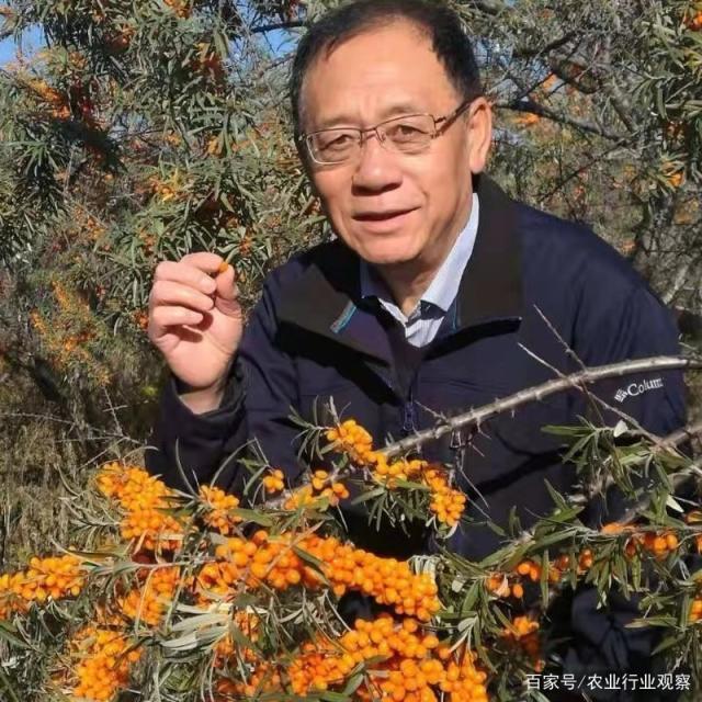 PG���ӡ�������(������Ϸ)�ٷ���վ