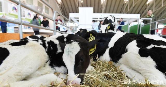 PG���ӡ�������(������Ϸ)�ٷ���վ