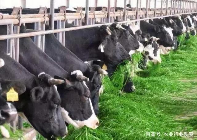 PG���ӡ�������(������Ϸ)�ٷ���վ