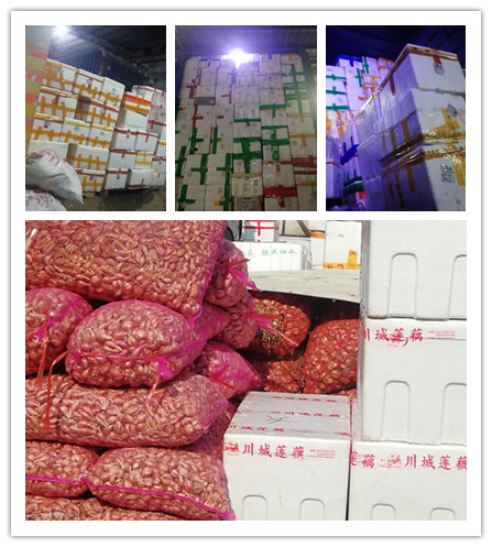 PG���ӡ�������(������Ϸ)�ٷ���վ