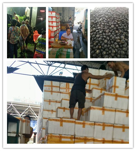 PG���ӡ�������(������Ϸ)�ٷ���վ