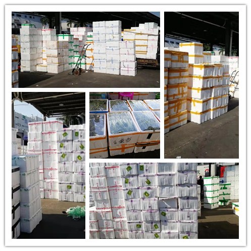 PG���ӡ�������(������Ϸ)�ٷ���վ