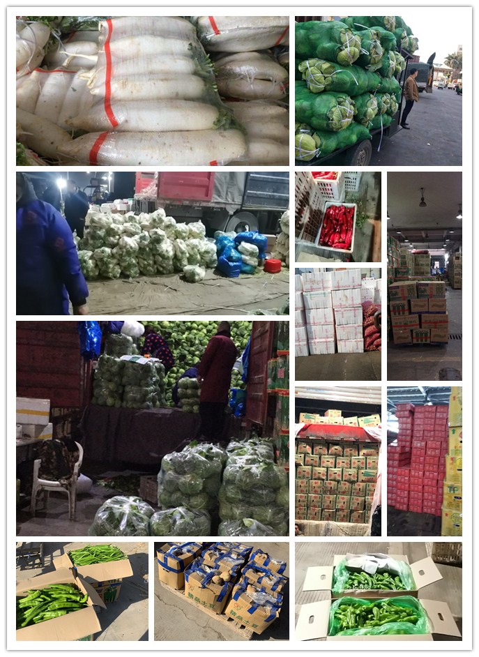 PG���ӡ�������(������Ϸ)�ٷ���վ