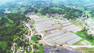 PG���ӡ�������(������Ϸ)�ٷ���վ