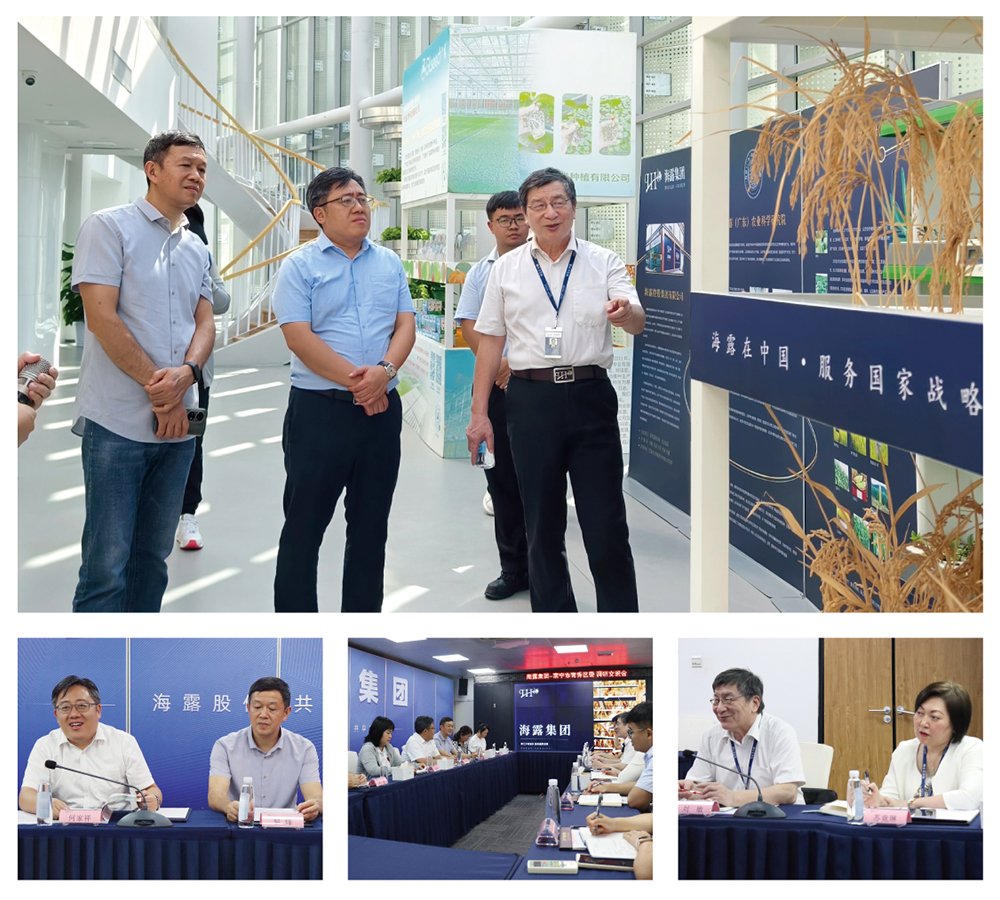 PG���ӡ�������(������Ϸ)�ٷ���վ